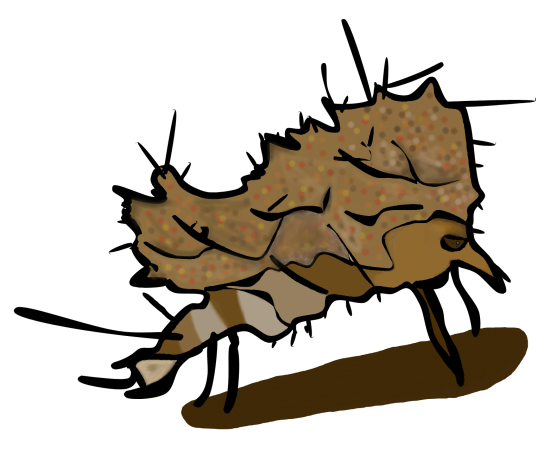 2024_12_08_0ub_Kleki-1